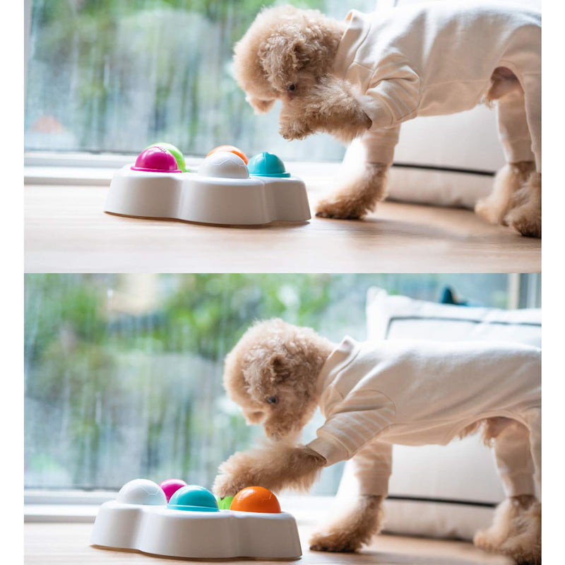 [Australia] - Pet IQ Intelligent Toy Smart Dog Puzzle Toys for Beginner, Puppy Treat Dispenser Interactive Dog Toys - Improve Your Dog's IQ, Specially Designed for Training Treats 