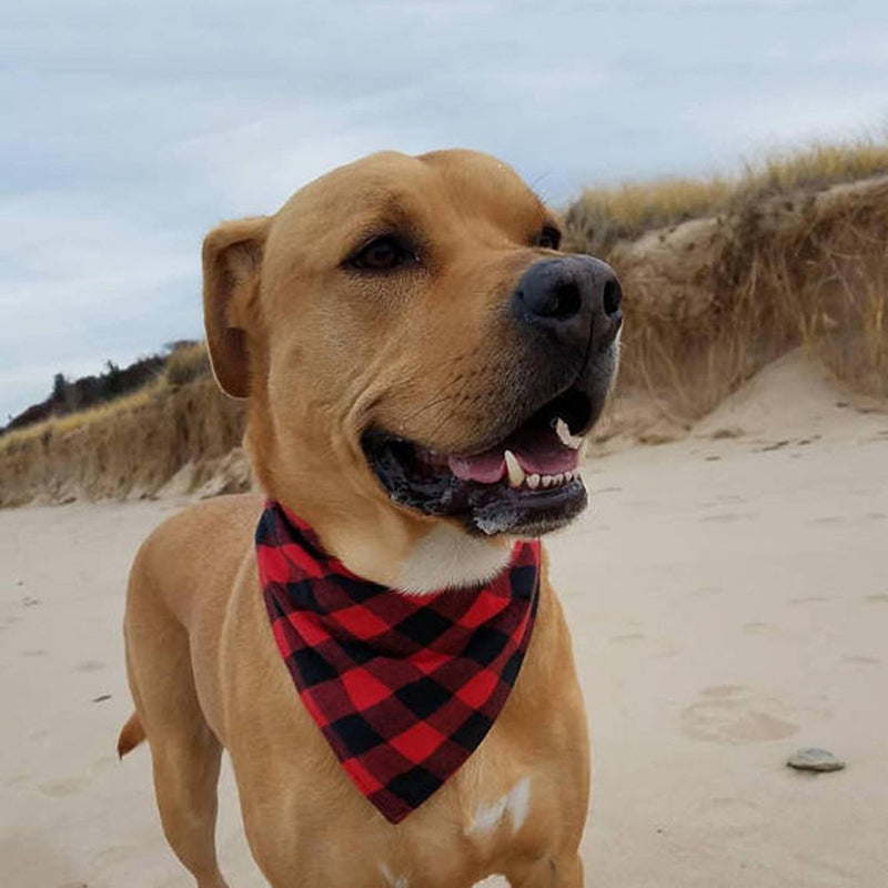 [Australia] - WORDERFUL Dog Bandana Bibs Pet Plaid Scarf Triangle Head Scarfs Accessories Neckerchief for Small and Medium Dog 
