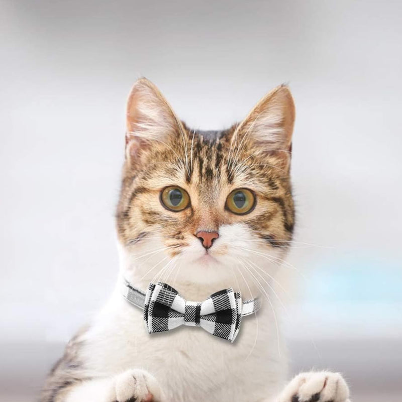 Cat Collar, Cat Collar with Safety Clasp and Bell, Cat Collars With Bow Tie, Elastic Cat Collar, for Girls and Boys Kittens - PawsPlanet Australia
