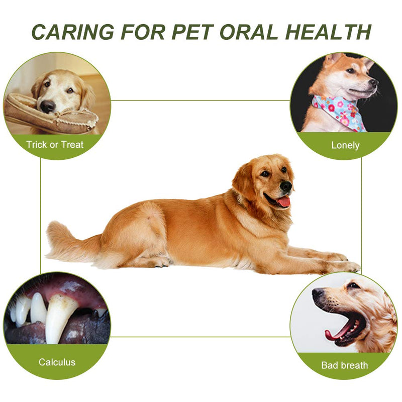 CBROSEY Dog Toothbrush,Dog Chews Toys,Dog Toothbrush Stick,Dog Dental Sticks,Dog Teeth Cleaning Chews,Indestructible Dog Chew Toys,Dental Oral Care for Medium Dogs Green - PawsPlanet Australia