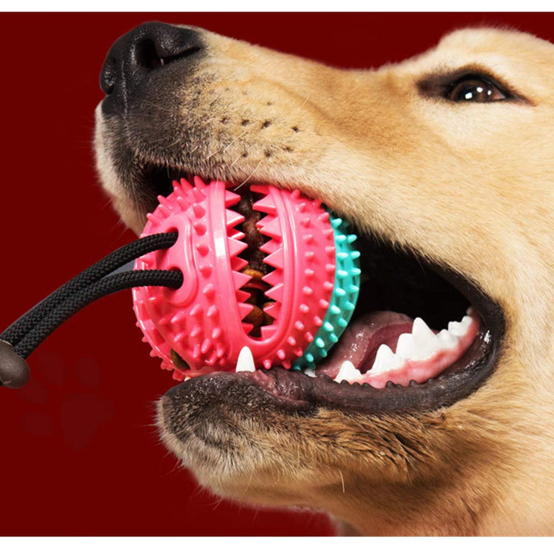 Ruick Dog Rope Chew Ball Pull Toy with Two Suction Cup,Molar Bite Toy Teeth Cleaning Dog Chew Tug Toys, Food Dispensing Dog Toothbrush - PawsPlanet Australia