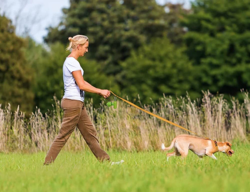 Taglory Dog Leash Small Dogs Lightweight | Double-sided reflective | Padded handle | Up to 10kg | 1.8mx 2cm | Brown 1.8 mx 2.0 cm (pack of 1) - PawsPlanet Australia