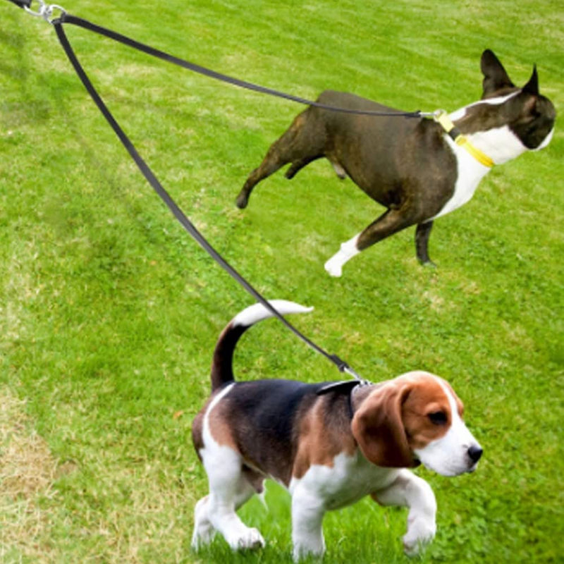 Double Leash for 2 Dogs - Coupling Leash for 2 Small Dogs, Adjustable Double Pet Trainer, Double Leash Walking Trainer Leash for Two Dogs, Black - PawsPlanet Australia