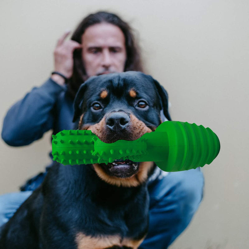 DOHAOOE Dog Chew Toys - Indestructible Squeaky Dog Toothbrush Toys for Large Medium Small Aggressive Chewers Dogs, Easy Teeth Cleaning, 100% Natural Rubber - PawsPlanet Australia