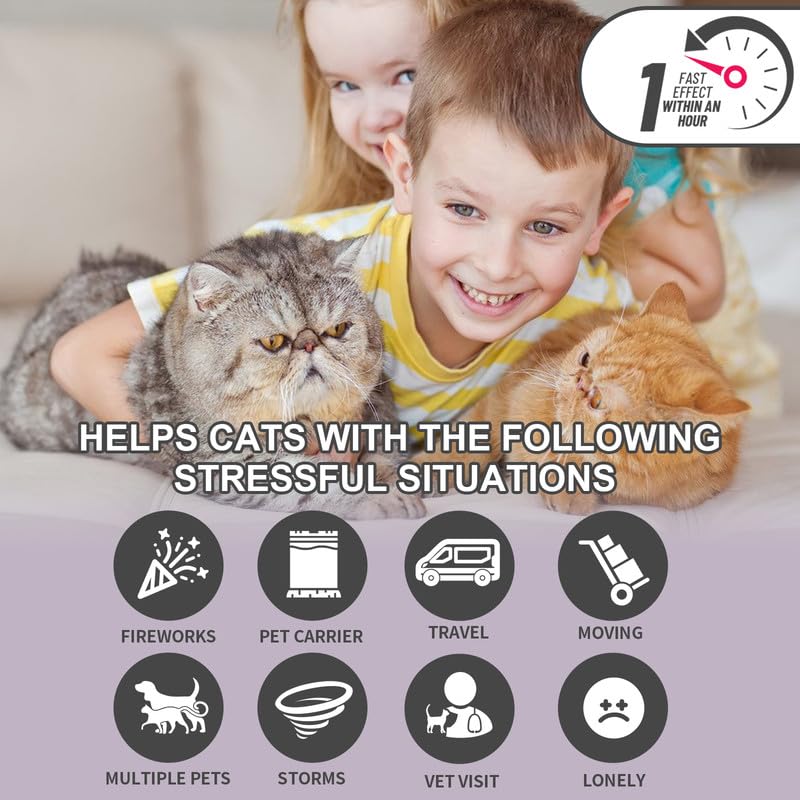 Calming Collar for Cats, Adjustable Calming Collar with Pheromones Cats Waterproof Calming Collar for Cats Anti Stress for 60 Days for Kittens Large Cats Black 2pcs Black-2pcs - PawsPlanet Australia