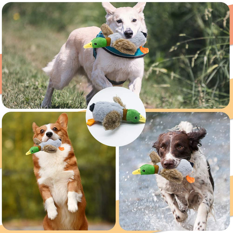 Nollary Dog Plush Squeaky Toys Stuffed Duck and Hedgehog Durable Pet Toys with Built-in BB Sounds for Boredom Entertainment - PawsPlanet Australia