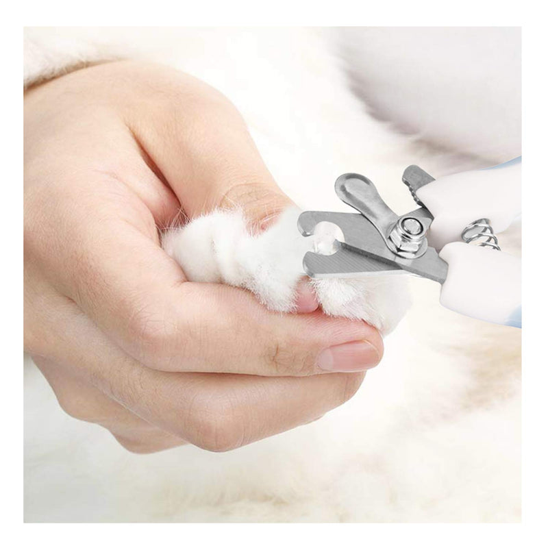 [Australia] - Lattook Pet Cat Nail Caps, Soft Kitten Soft Claws Covers Control Paws, Colorful Kitty Nails Caps + Adhesive Glue + Applicator with Instructions M - Medium Black-M-212 