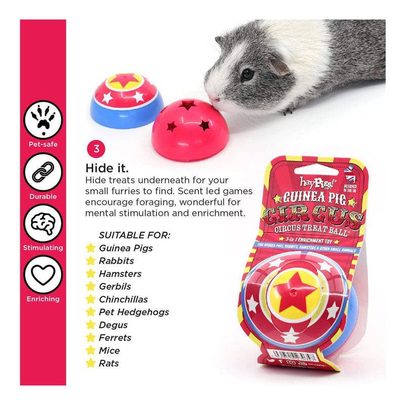 HAYPIGS Treat Ball Variation 1. Treat Ball - PawsPlanet Australia