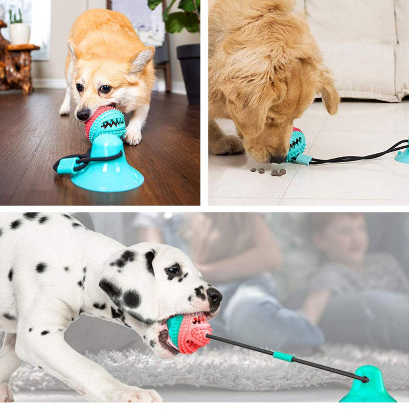 PLYFUNS Suction Cup Dog Toy, Self Playing Pet Molar Bite Toy with Chew Rubber Ball and Durable Rope Interactive Pet Tug Toy for Teeth Cleaning/Pulling - PawsPlanet Australia