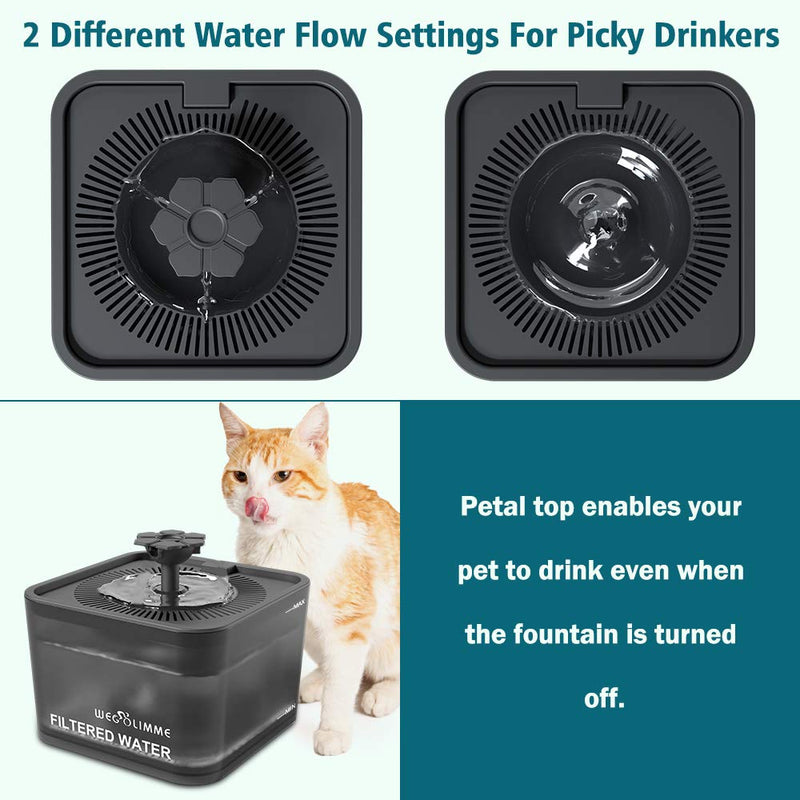 WEGOLIMME Pet Water Fountain, 102oz/3L Automatic Cat Water Fountain Dog Water Dispenser with 5 Replacement Filters, Super Quiet | Smart LED Night Light | Hygienic Environmentally Friendly Black - PawsPlanet Australia