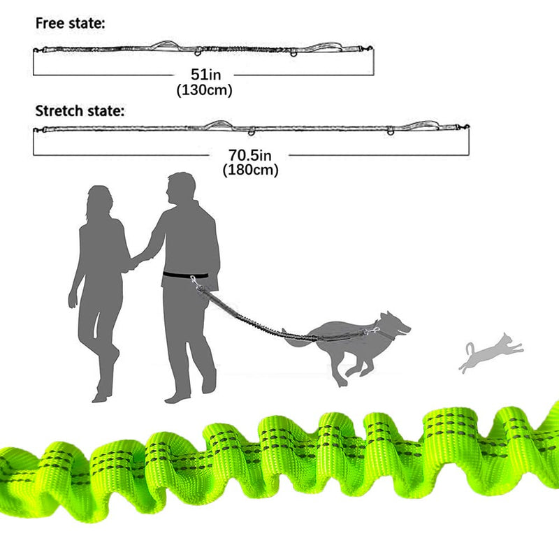 QitinDasen Green Hands-Free Dog Lead, Adjustable Waist Belt and Dual Handles Stretchy Bungee Lead, Jogging Dog Lead with Reflective Stitching (Grey Handle) - PawsPlanet Australia
