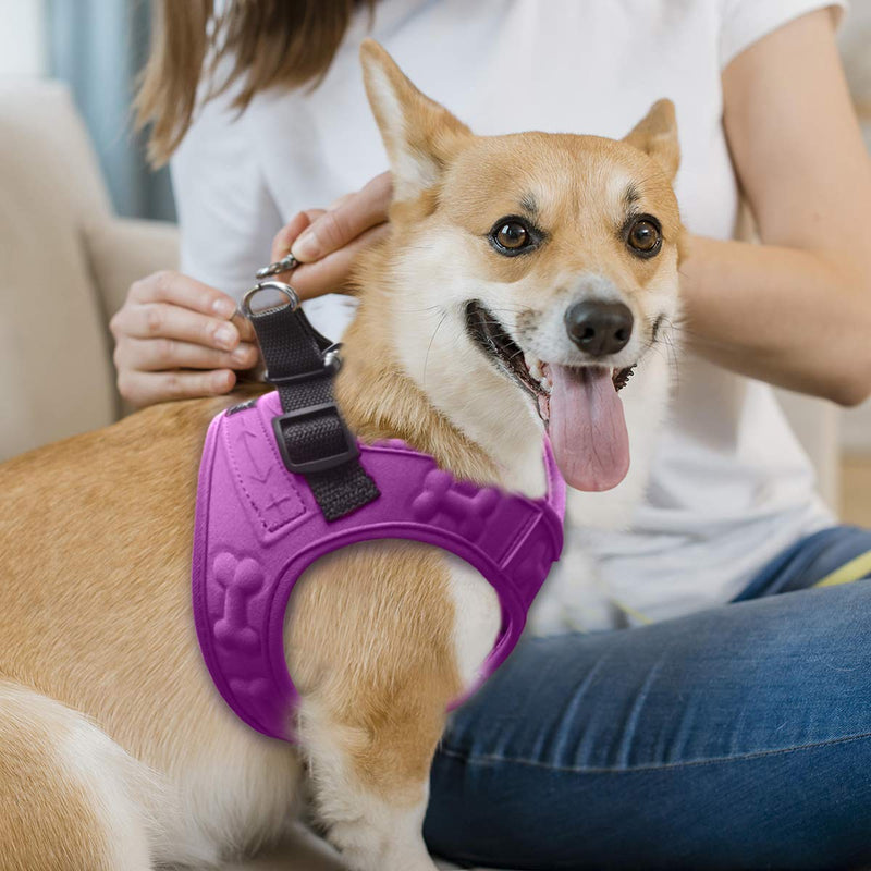 Comfort Fit, Soft Padded and Lightweight Dog Harness, Step in Dog Vest Harness for Small & Medium Dogs, Purple, M, Chest 16-18" - PawsPlanet Australia