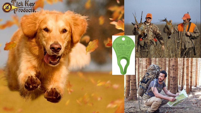 The Original Tick Key -Tick Detaching Device - Portable, Safe and Highly Effective High Visibility Tick Detaching Tool (Light Green) - PawsPlanet Australia