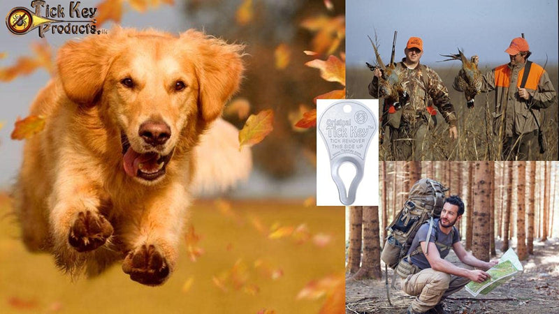 The Original Tick Key -Tick Removal Device - Portable, Safe and Highly Effective Tick Removal Tool (Silver) - PawsPlanet Australia