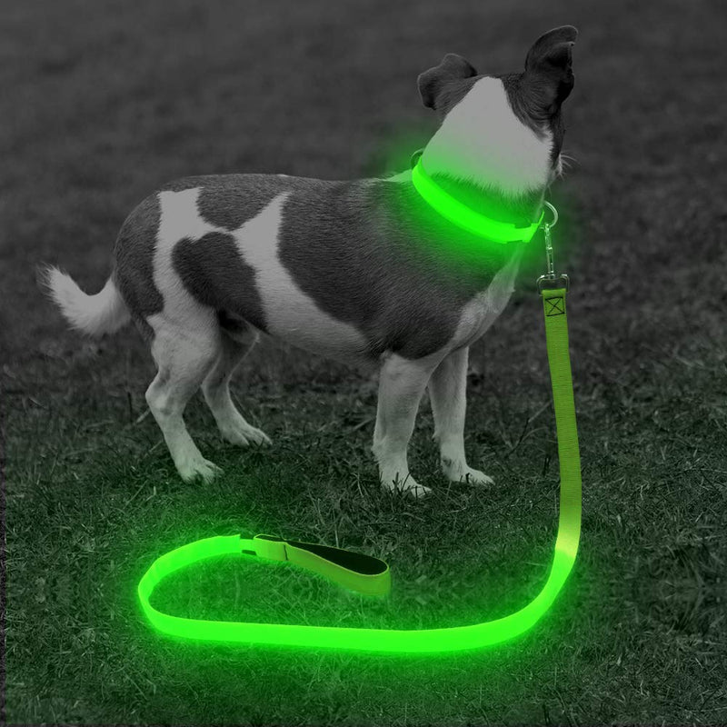 [Australia] - BSEEN LED Lighted Dog Leash - USB Rechargeable Nylon Webbing Glowing Pet Leash, Light Up Puppy Lead for Nighttime Dog Walking 47 Inch (120cm) Neon Green 