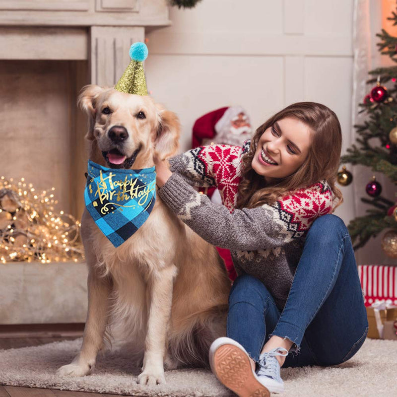 Dog Birthday Bandana Scarfs with Cute Doggie Dog Birthday Party Birthday Hat - PawsPlanet Australia