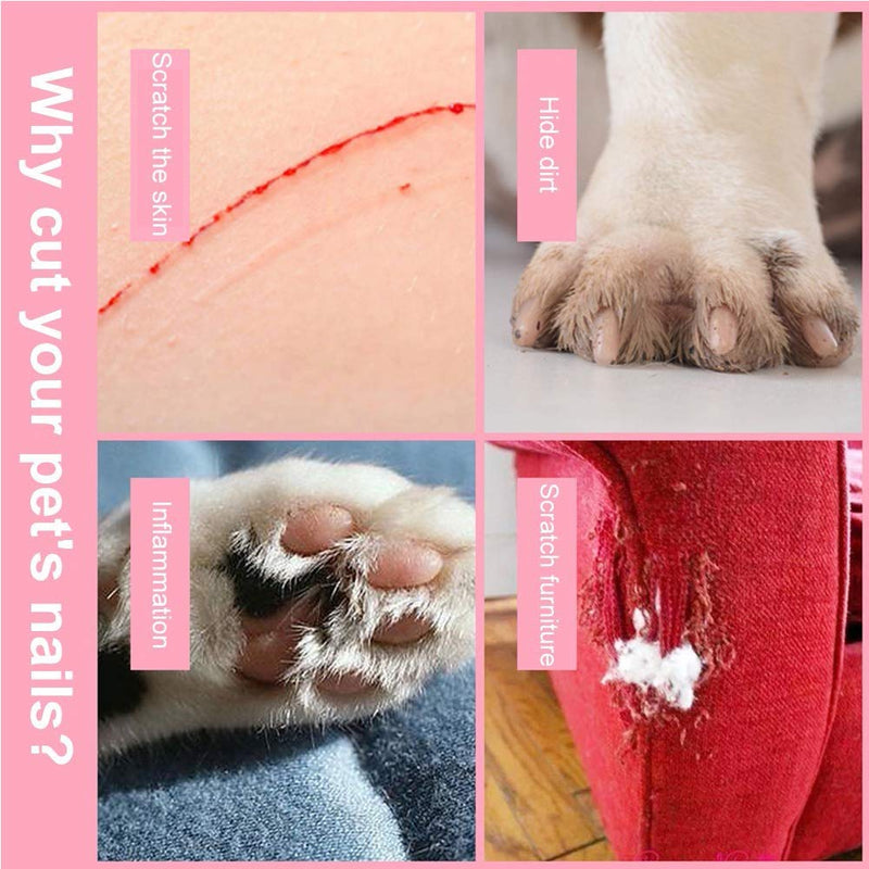 TopE Professional Pet Nail Trimmer with Safety Guard to Avoid Over-cutting Include Nail Clipper and Nail File for Small and Medium Dogs Cats Rabbits Birds, Pink - PawsPlanet Australia