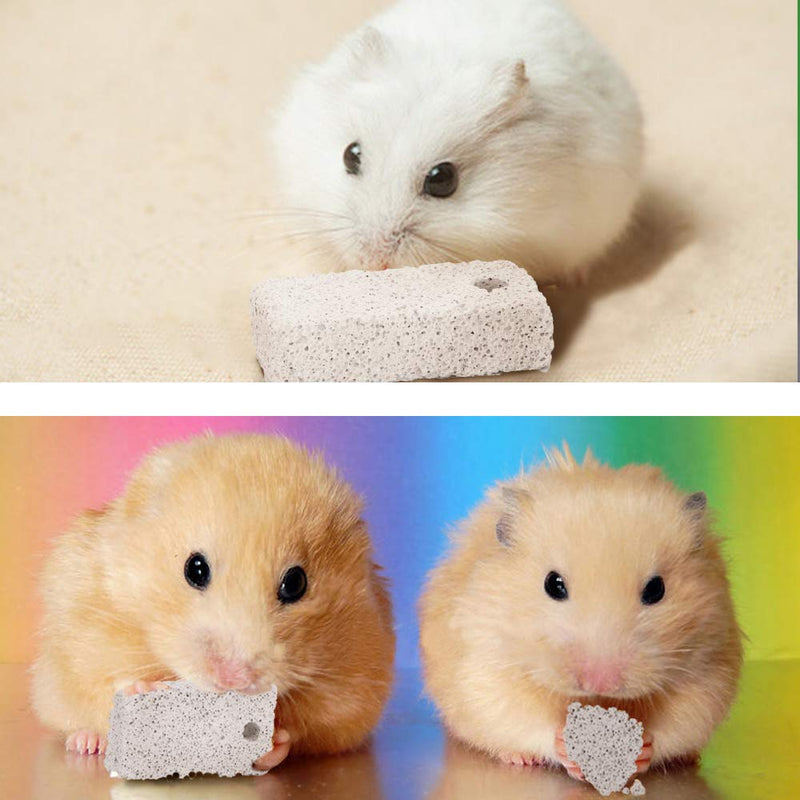 Pawliss 2 Inch Hamster Chew Toys,Teeth Grinding Lava Block for Small Animal Hamster Chinchilla Bunny Rabbit, 6 Pack - PawsPlanet Australia