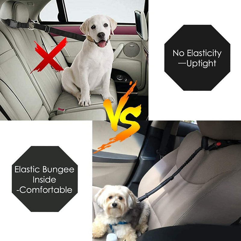 Car Dog Seatbelt Adjustable with Elastic Bungee Headrest Restraint with Elastic Bungee and Reflective Stripe Connect with Dog Harness in Vehicle for Travel Daily Use Dog Car Safety - PawsPlanet Australia