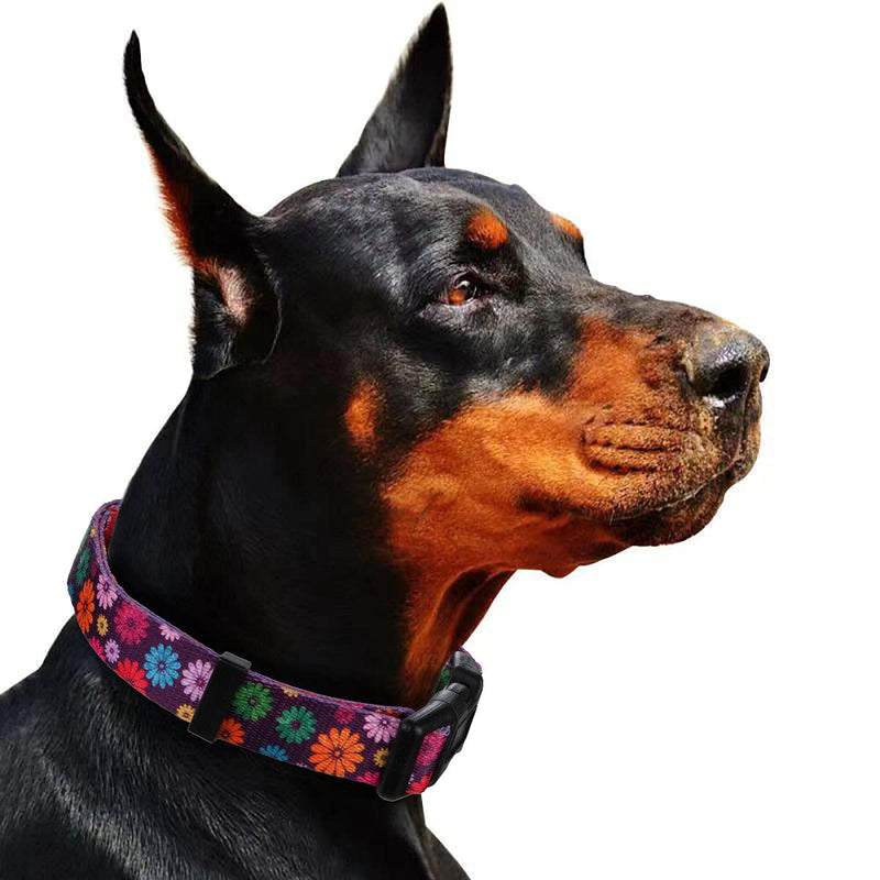 Rhea Rose Girl Dog Collars Fall Daisy Pattern, Colorful Flowers Print, Female Collar, Dark Purple, Small S(Neck 11"-15.7", Width 5/8") - PawsPlanet Australia