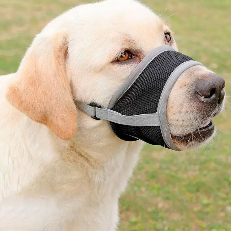 Tadipri Muzzle for Dogs Air Mesh Breathable Adjustable Pet Muzzles, Muzzle Made of Nylon for Dogs Medium and Large Dogs, Muzzle with Velcro Fastener Soft, Prevents Biting, Barking and - PawsPlanet Australia