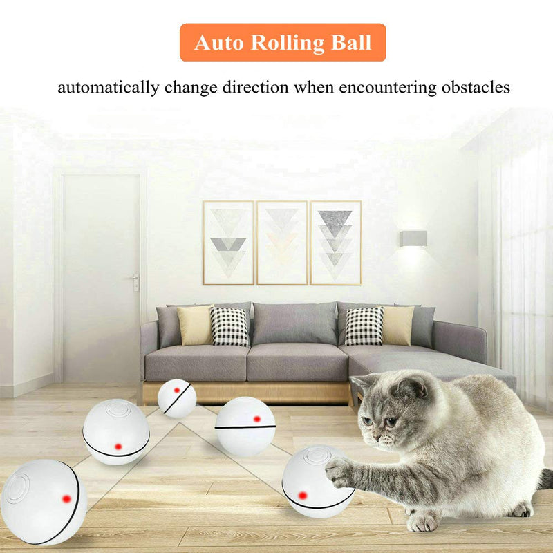 [Australia] - Pakoo Interactive Cat Toys Ball, Smart Automatic Rolling Kitten Toys, USB Rechargeable Motion Ball + Spinning Led Light with Timer Function, The Best Entertainment Exercise Gift for Your Kitty 