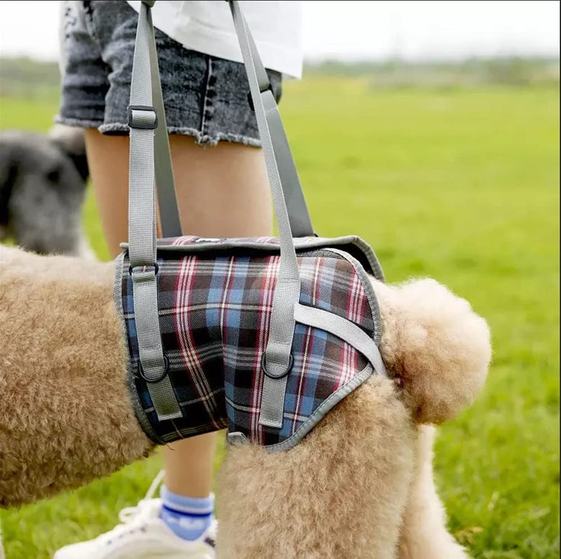 XTrador entry and carrying aid for dogs especially for hip problems for injured, older or musculoskeletal dogs (L) L - PawsPlanet Australia
