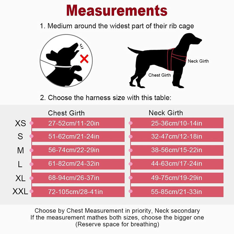 ThinkPet No Pull Hundegeschirr Breathable Sport Harness - Escape Proof/Quick Fit Reflective Padded Dog Safety Vest with Handle Back/Front Clips, Easy for Walking Training S(Chest:51—62cm,Neck:32—47cm) Red - PawsPlanet Australia