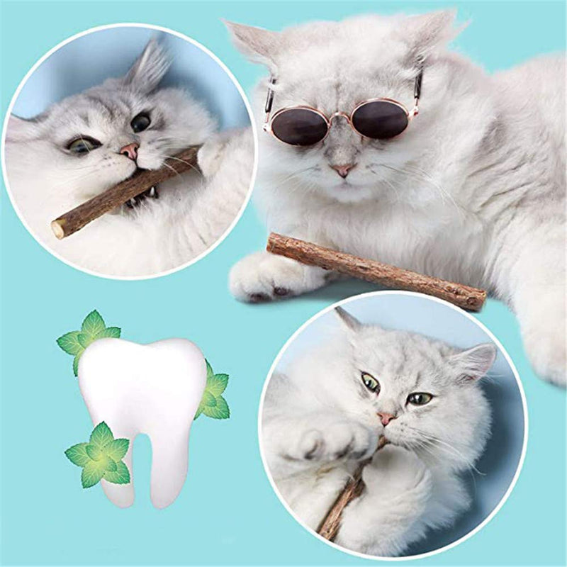 QMYS Pet Molar Bite Toy Cat Chew Dental Health Sticks Anti For Bad Breath Teeth Edible Oral Hygiene Risistant Carrier Sen Wooden - PawsPlanet Australia