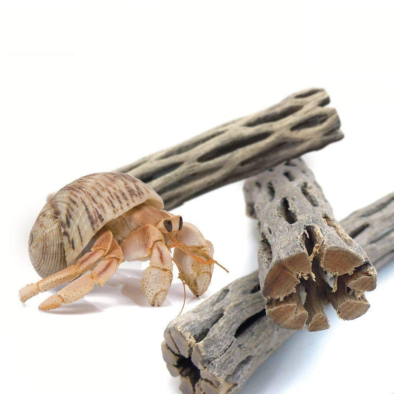 SunGrow Hermit Crab Woods, 6” Climbing Logs, Chew Toy, Keep Hermies Busy and Active, Long Dried Aquarium Décor Adds Raw Beauty, 3 Pcs - PawsPlanet Australia