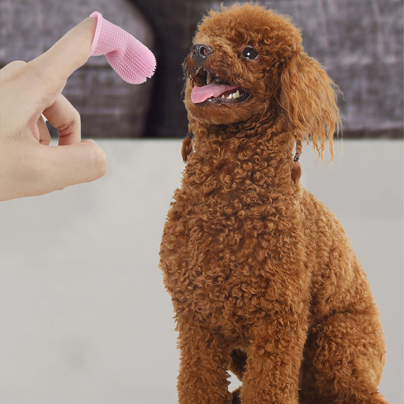 JSKWIKE Pack of 4 dog toothbrushes, silicone dog toothbrush, finger cots, dog dental care, dog toothbrush with storage box, finger toothbrush, dog toothbrush for small, medium and large dogs - PawsPlanet Australia