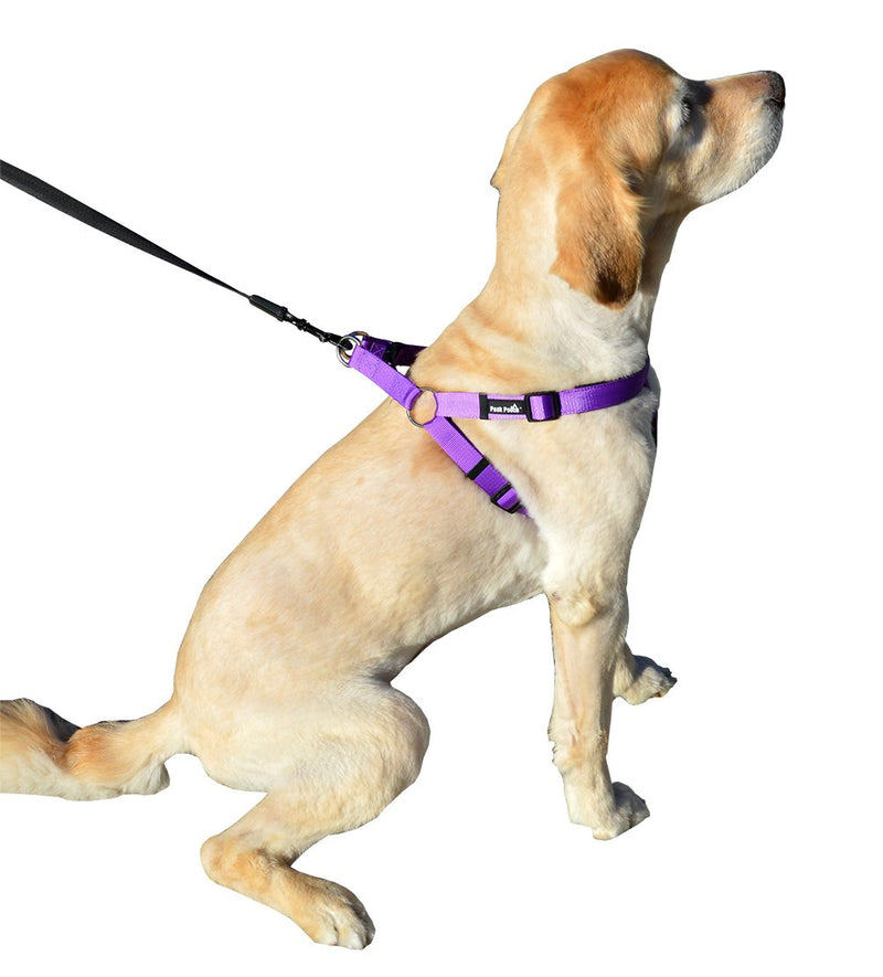 Peak Pooch No Pull Padded Comfort Nylon Dog Walking Harness Small (14" - 19" chest) Purple Small (14" - 19" chest) - PawsPlanet Australia