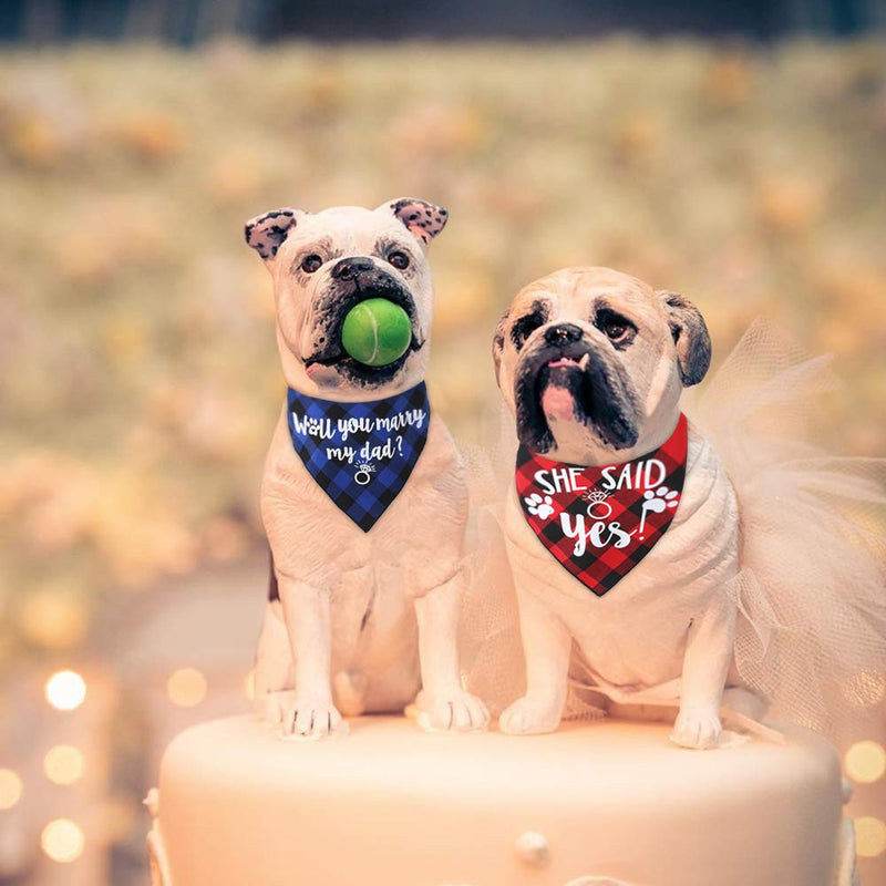 JPB Dog Wedding Bandana for Engagement Party 2 Pack - PawsPlanet Australia