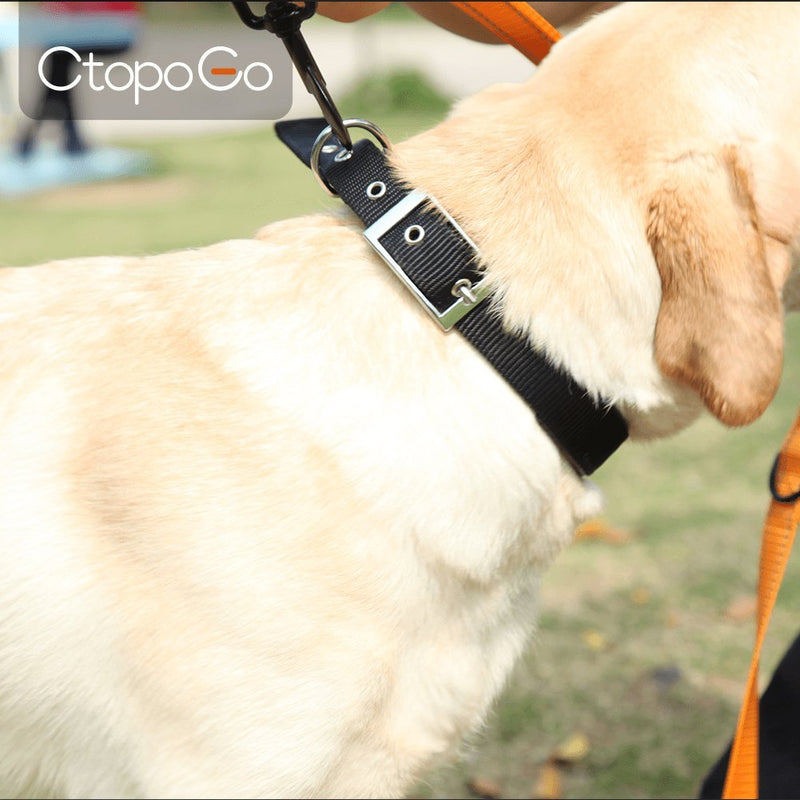 CtopoGo Dog Collar Comfy And Soft Adjustable Collar For Small/Medium/Large Dogs, Easy Buckle Design,Luxury Leather Dog Collar, Neck 12"-24" (M (Neck 40-50cm), Black) M (Neck 35-45cm) - PawsPlanet Australia