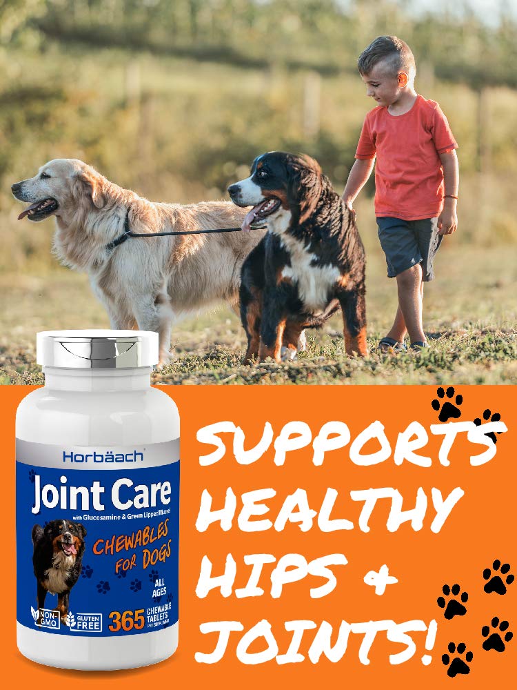 Joint Care for Dogs | 365 Liver Flavour Chewable Tablets | Hip & Joint Health | Glucosamine, MSM, Green Lipped Mussel, Hyaluronic Acid + More | Non-GMO, Joint Aid Supplement for Dogs - PawsPlanet Australia