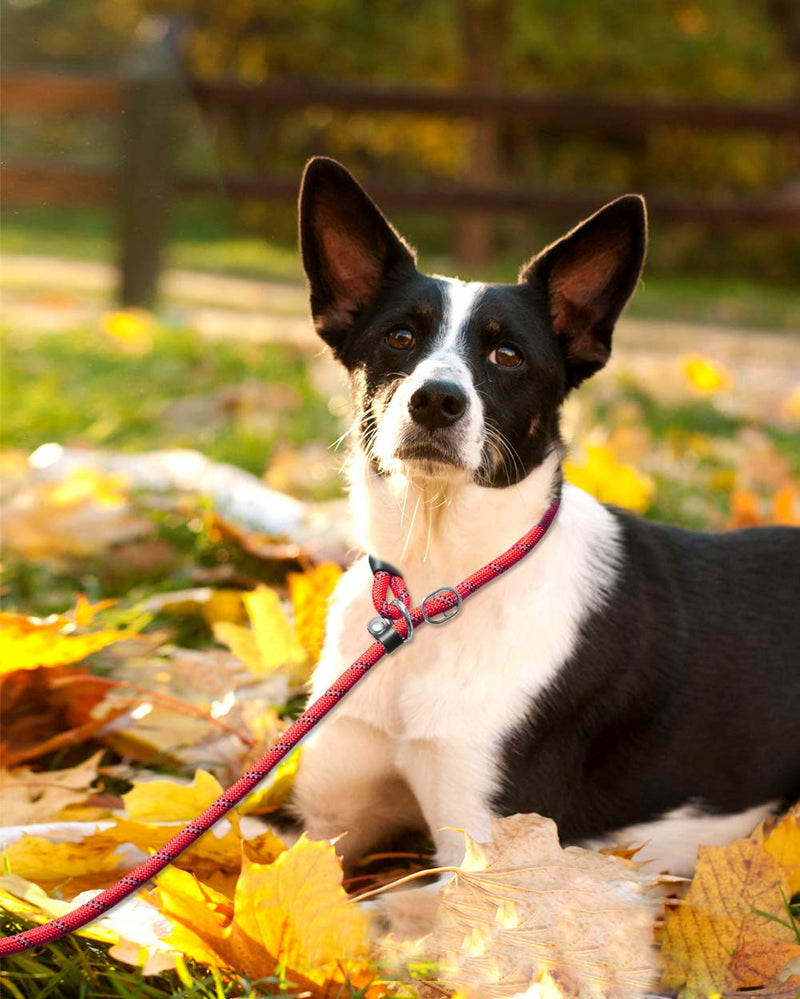 [Australia] - Joytale Slip Lead Dog Leash, Reflective Rope Training Leash with Comfortable Padded Handle for Small Medium Dogs,6 Feet 5/16" x 6ft Red 