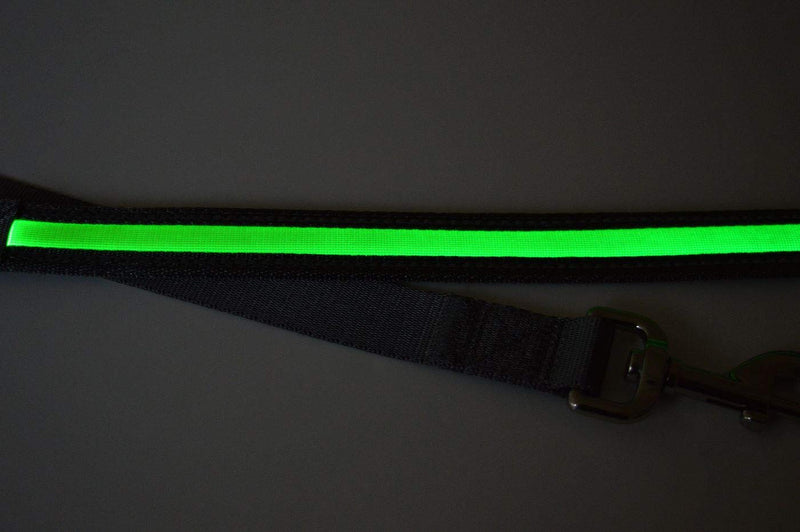 RSPCA Reflective LED Lead, 120 cm Length x 2.5 cm Width, Grey/Yellow, 0.142999 kg - PawsPlanet Australia