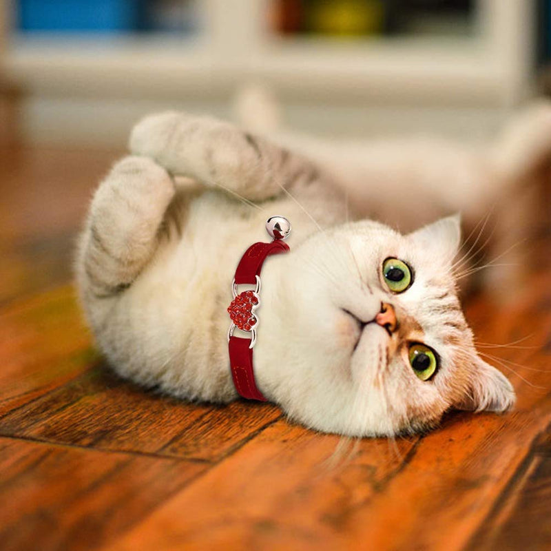 Lovely Kitten Collar, Cat Collar with Bell and Elastic Strap (KK-Cat-4colour) KK-Cat-4colour - PawsPlanet Australia