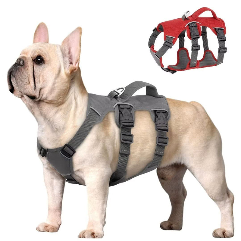 Beirui Escape Proof Dog Harness for Small Medium Dogs, Reflective Dog Harness No Pull with Padded Handle, Waterproof Dog Harness for Daily Walking Training (Red,Chest 10-16‚Äù) XXS: Chest 10-16‚Äù,Neck 9-12‚Äù Red - PawsPlanet Australia