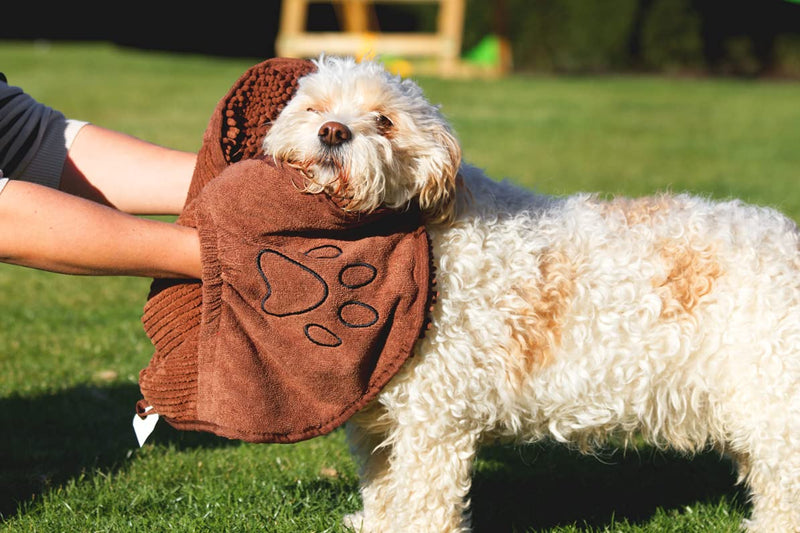 Dog Gone Smart The Original Dirty Dog Shammy Brown - PawsPlanet Australia