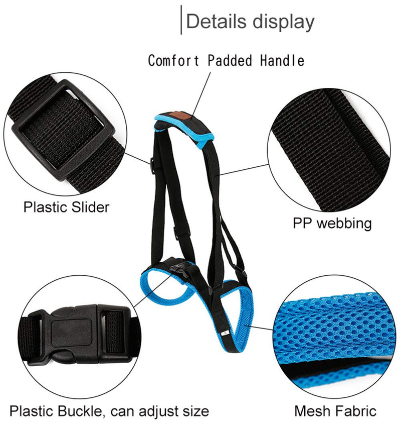 [Australia] - Kismaple Dog Walking Lifting Carry Rear Legs, Adjustable Support Harness Walking Aid Lifting Pulling for Hind Leg Disability Injured Young Old Dogs M 