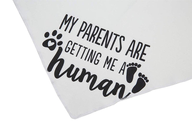 My Parents are Getting me a Human,2 Pack Gender Reveal Dog Bandana Small - PawsPlanet Australia