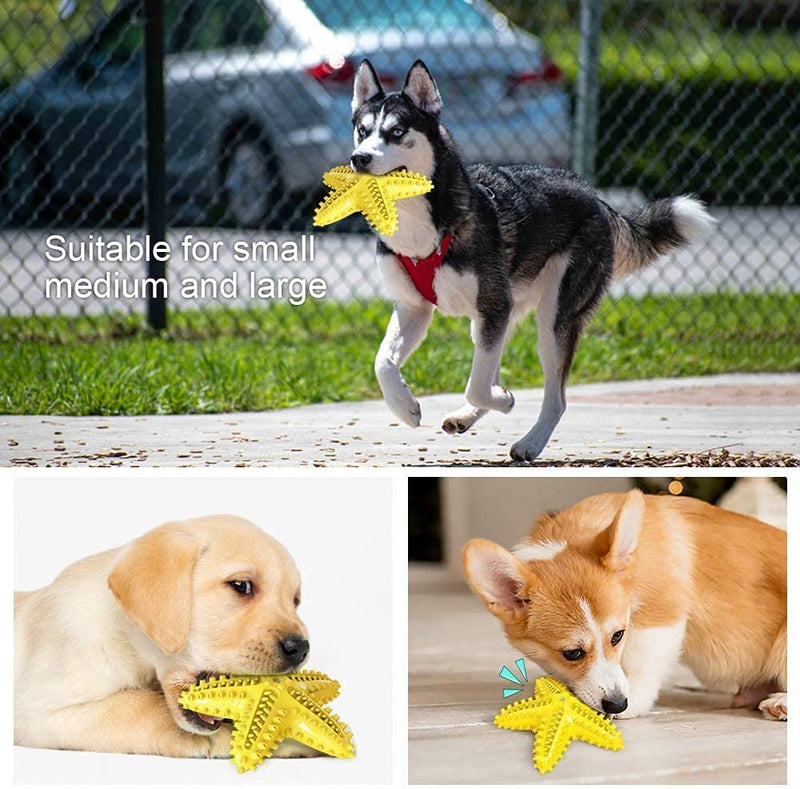 Dog Chew Toy Made with Durable Natural Rubber for Aggressive Chewers, Pet Teething Toys for Playtime and Teeth Cleaning, Dog Toys of Various Shapes starfish - PawsPlanet Australia