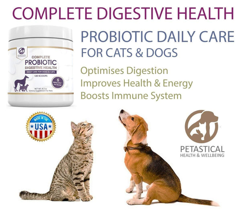 Petastical Probiotics for Dogs and Cats, 5 BILLION CFU Max Strength Canine Feline Probiotic Powder for Digestive Health, Acidophilus Pet Supplement for Diarrhea Constipation Skin Itching Gas 120 Scoop - PawsPlanet Australia