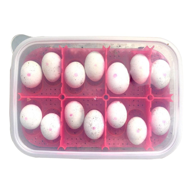 [Australia] - OMEM Reptile Breeding Box, Reptile Incubator, Hatchery Box, Suitable for Hatching Gecko, Lizards, Lions Mane, Reptiles Random Color 