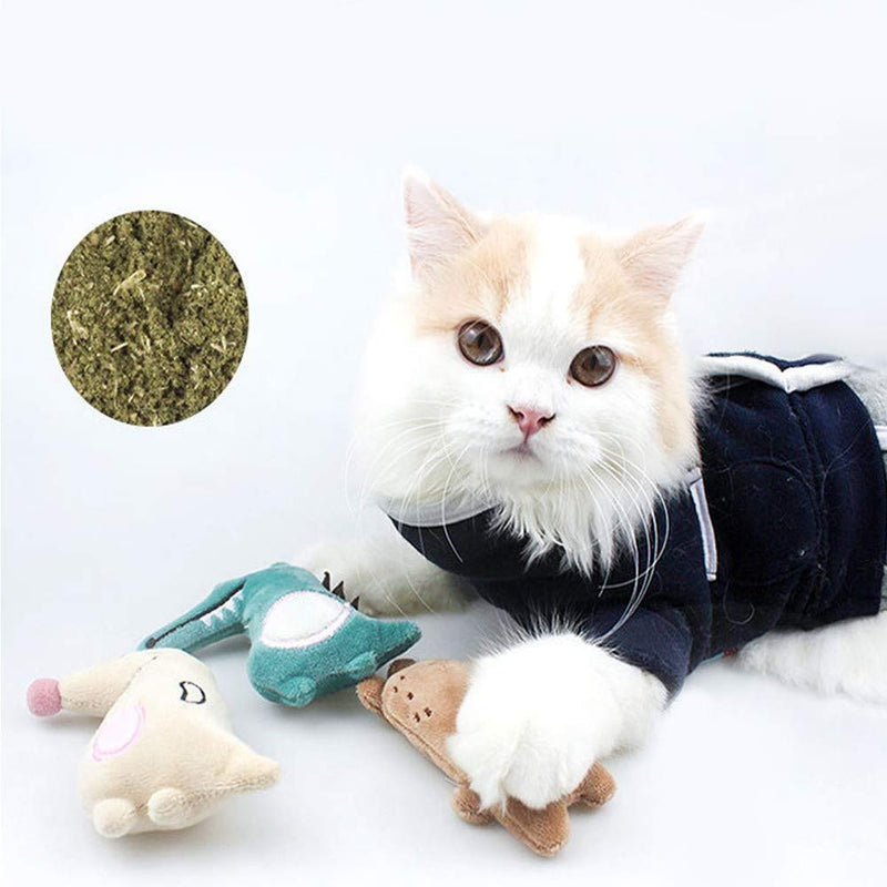 AprFairy Catnip Toys for Indoor Cats, 12-pcs Pet Kitten Stuffed Toy Set-Soft Cute Interactive Cat Toys with Crinkle & Natural Catnip & Feather, Cat Chew Toys for Kitten Playing/Chewing/Teeth Cleaning - PawsPlanet Australia