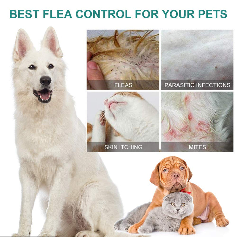 SEGMINISMART Flea Spray,Cat Flea Treatment,Dog Fleas Protection Spray,Tick and Flea Treatments for Dogs,Cat Flea Spray,Flea Spray For Dogs,Tick and Flea Protective for Dogs Cats - PawsPlanet Australia