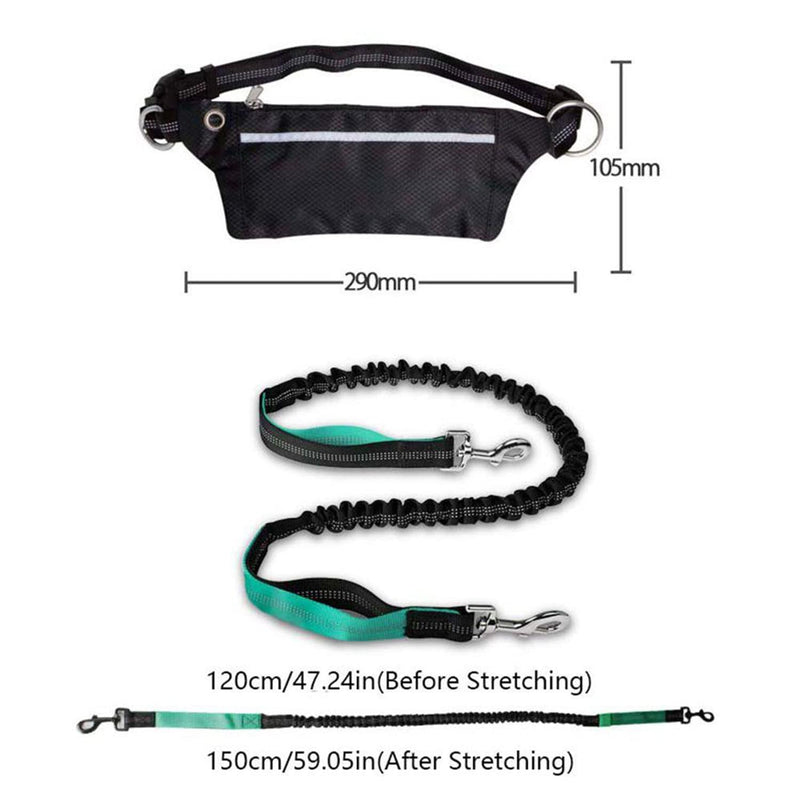 Jogging leash for dogs - hands-free leash with belt bag, 120 cm to 150 cm adjustable and with reflective seams hip belt bungee leash, for large medium dogs running, jogging, hiking - PawsPlanet Australia