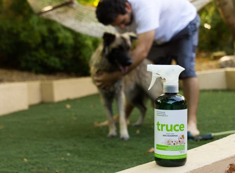 [Australia] - TRUCE Organic Shampoo for Dogs, 16 FZ 