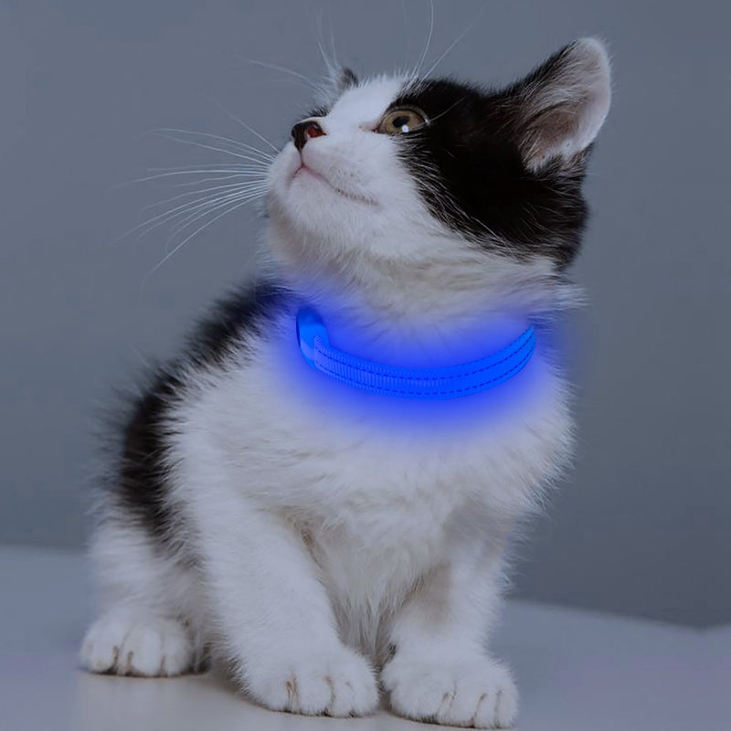 [Australia] - BSEEN LED Dog Collar, LED Dog Leash, USB Rechargeable Glowing Safety Dog Collar Light Up Adjustable Nylon Webbing Reflective Pet Dog Collar Leash for Dog & Cat XS Blue 